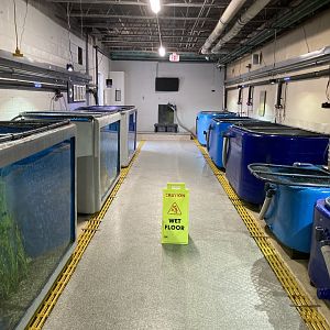 Behind the Scenes Corridor (open to the public)