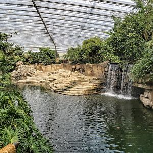 Asian elephant indoor enclosure