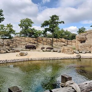 Hippo(potamus) enclosure