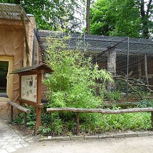 Enclosure for binturong (07/22)