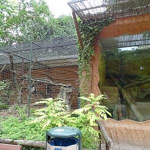 Enclosure for palm civets (07/22)