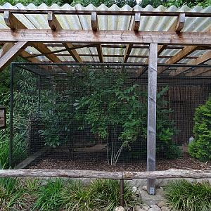 Aviary for golden pheasant (07/22)