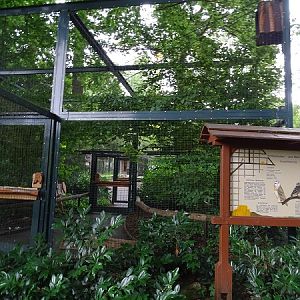 Walk-through aviary for little owl and barn owl (07/22)