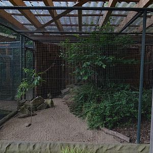 Aviary for alpine rock partridge (07/22)