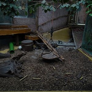 Otterhaus - enclosure for small-clawed otters (07/22)