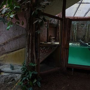 Otterhaus - enclosure for small-clawed otters (07/22)