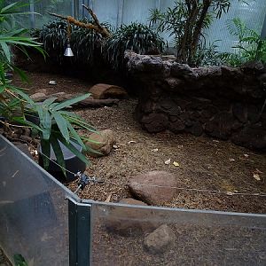 Otterhaus - armadillo enclosure (07/22)