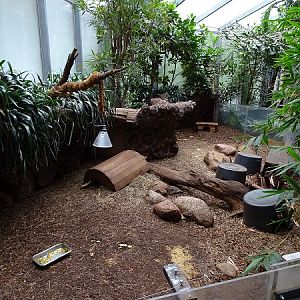 Otterhaus - armadillo enclosure (07/22)
