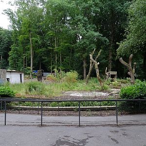 Former spectacled bear enclosure - now empty  (07/22)