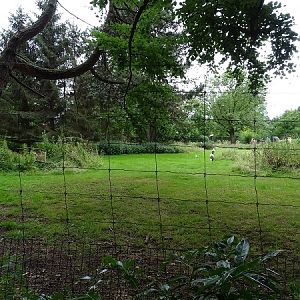 Enclosure for roe deers and white storks (07/22)