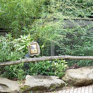 Amazonashaus - Enclosure for emperor tamarins (07/22)