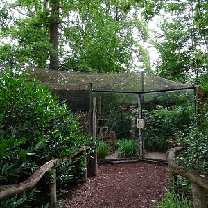 Enclosure for squirrel monkeys (07/22)