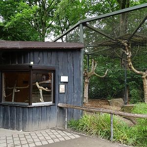 Enclosure for red-legged seriemas