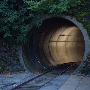 [September 2019] Zooline Railroad tunnel from Red Rocks Station