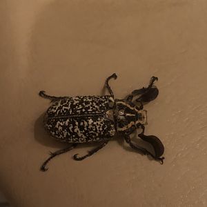 Who is this handsome man?