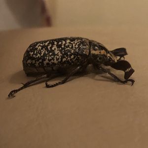 Who is this handsome man?