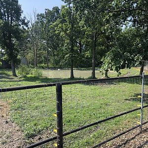 Lowland Tapir Exhibit