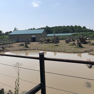Indian Rhinoceros Exhibit