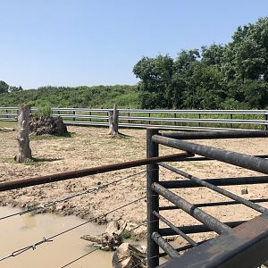 Indian Rhinoceros Exhibit