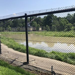 Syrian Brown Bear Exhibit