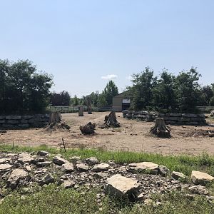 White Rhinoceros Exhibit