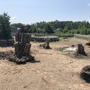 White Rhinoceros Exhibit