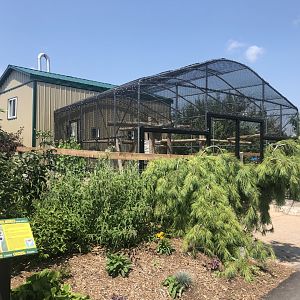 Squirrel Monkey Exhibit