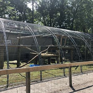 Clouded Leopard Exhibit