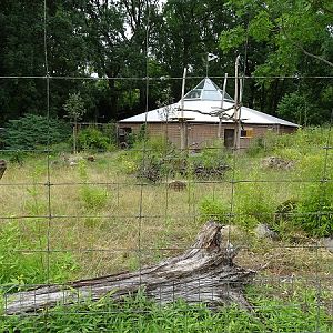 Enclosure for giant anteater and southern pudu (07/22)
