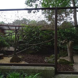Enclosure for kinkajou (07/22)