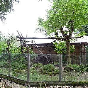 Enclosure for southern tamandua (07/22)