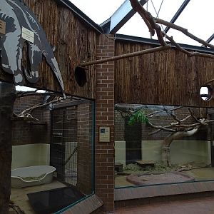 Tamandua Haus - giant anteater indoor enclosure (07/22)