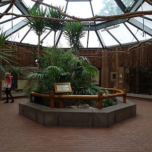 Tamandua Haus (07/22)