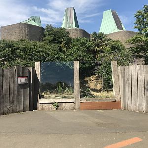 Babirusa habitat with Casson Pavilion