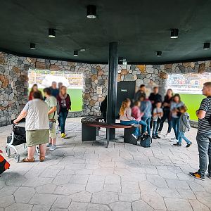 The underwater viewing with seals on the left and sea lions on the right