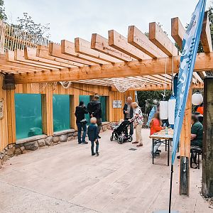 Underwater viewing for the penguins