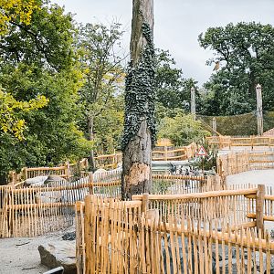 New penguin enclosure