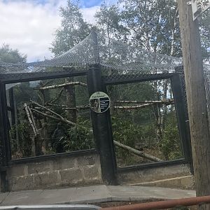 Clouded leopard enclosure