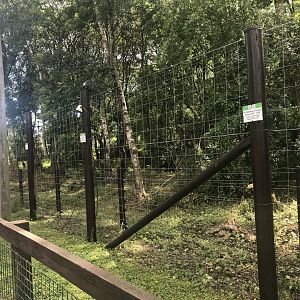 European brown bear enclosure (2)