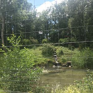 European brown bear enclosure (4)