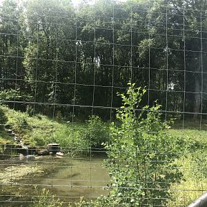 European brown bear enclosure (5)