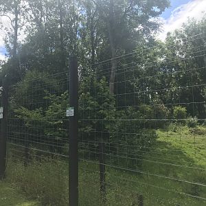 European brown bear enclosure (6)