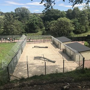 Cheetah holding area