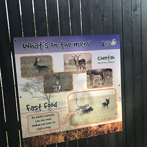 Cheetah signage (2)