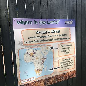 Cheetah signage (3)