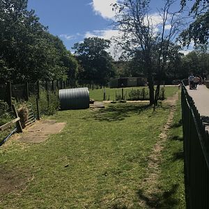 Domestic animal enclosures