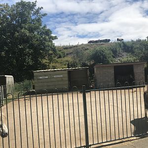 Domestic animal enclosures (2)