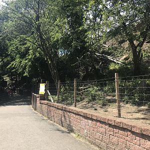 African pygmy goat enclosure (2)