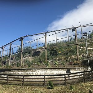 Snow leopard enclosure (2)