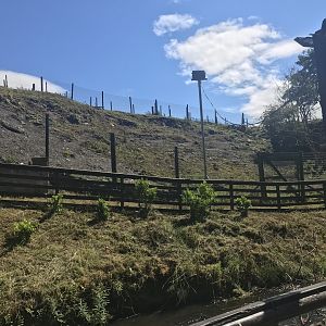 Barbary sheep enclosure (2)